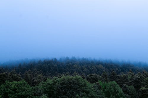 Photos gratuites de amoureux de la nature, beauté dans la nature, beauté de la nature