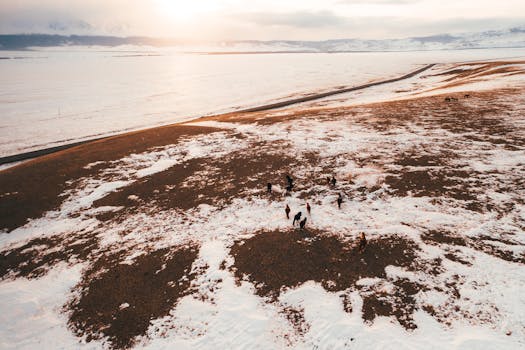 Aerial view of snow-covered terrain with horses during a winter sunset in the Altai region, Russia.