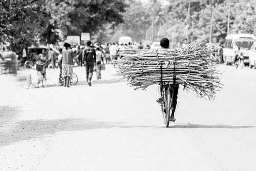 Manusia Membawa Kayu Bakar