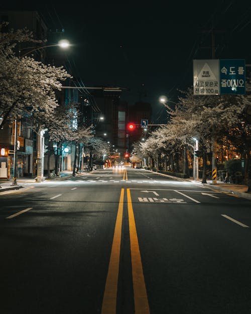 Foto d'estoc gratuïta de carretera, Corea, nit