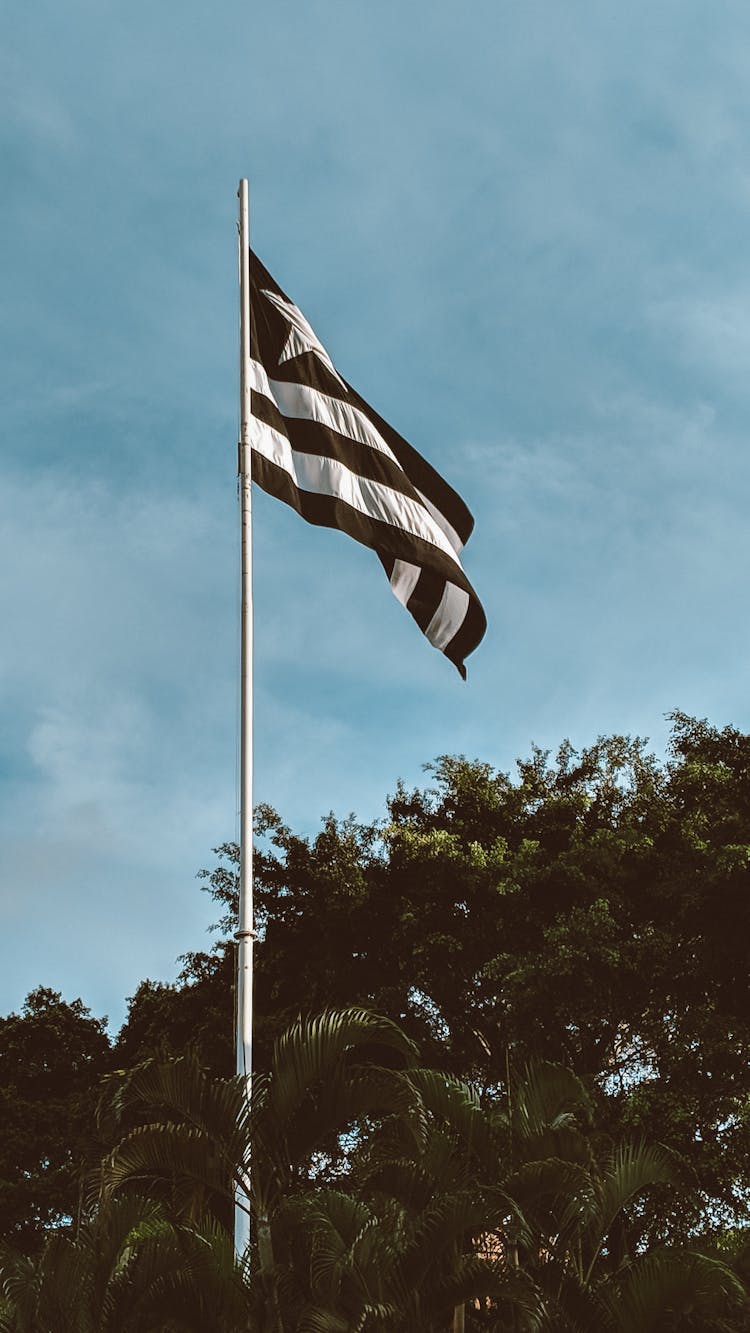 Football Club Flag On Flagpole