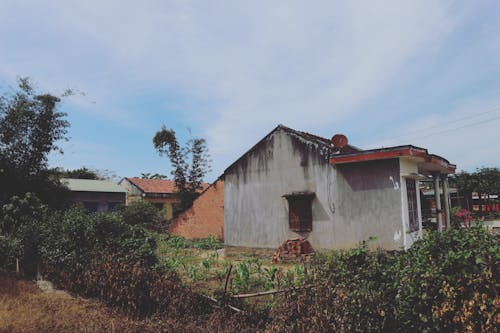 House Near Bushes