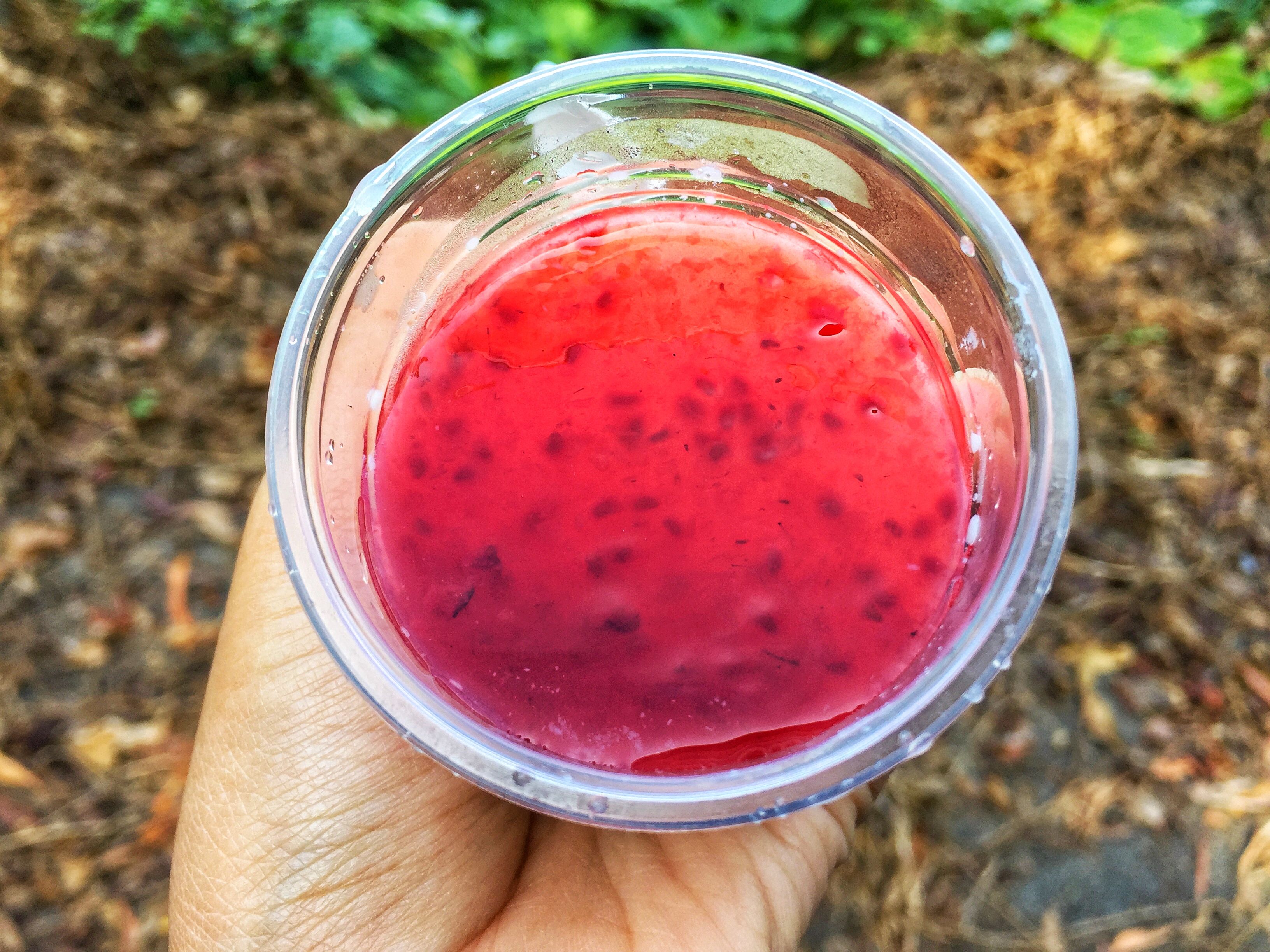 Free Stock Photo Of Fastfood Raspberry Yogurt