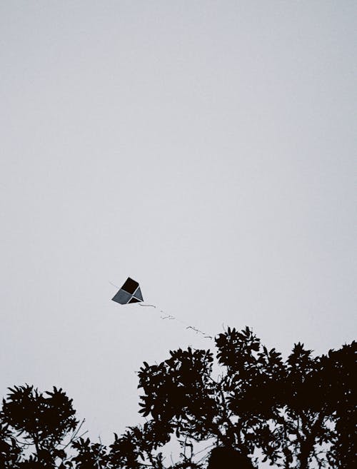 Kite flying in cloudless sky in nature