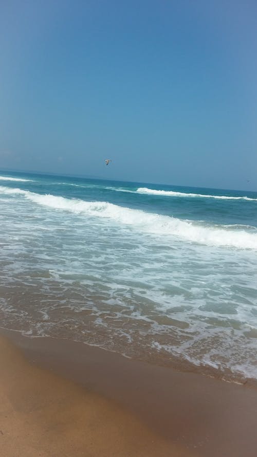 Free stock photo of beach, black sea, blue sky