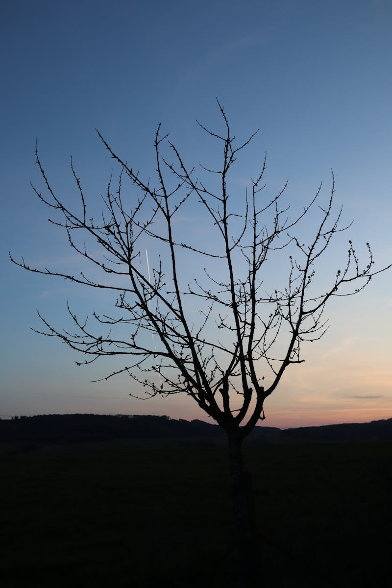 Uma pessoa aplicando óleo hidratante no braço, destacando a categoria de cuidados corporais.