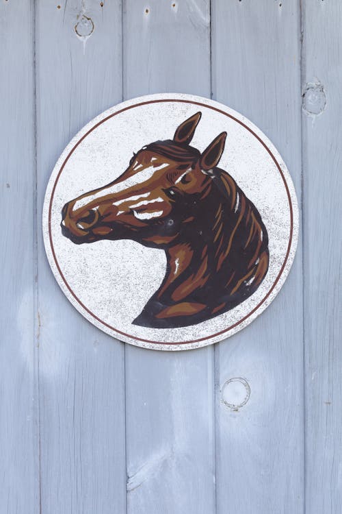 A Brown Horse Head Wall Decoration