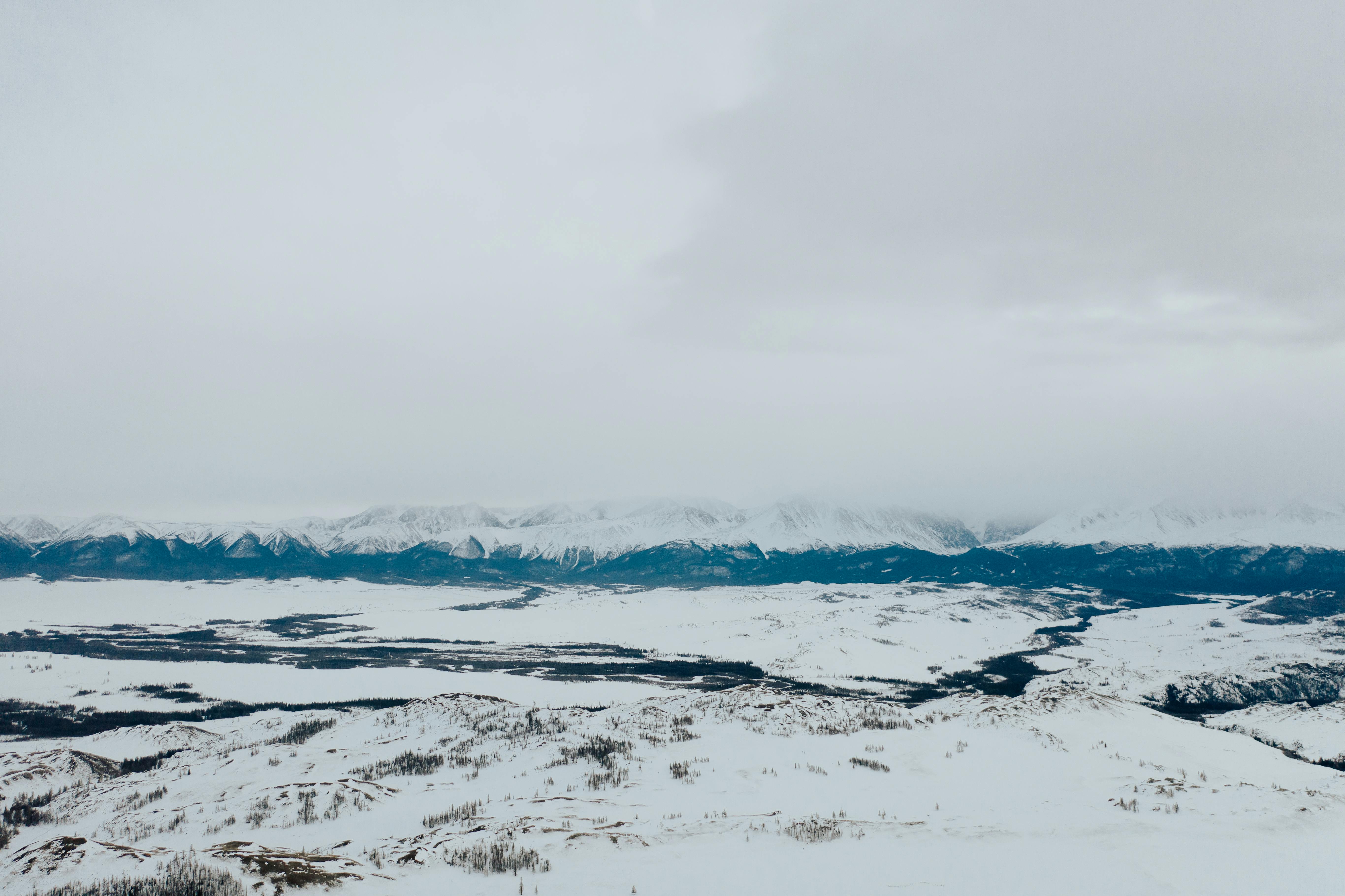 Free: Snowy winter background, gray sky