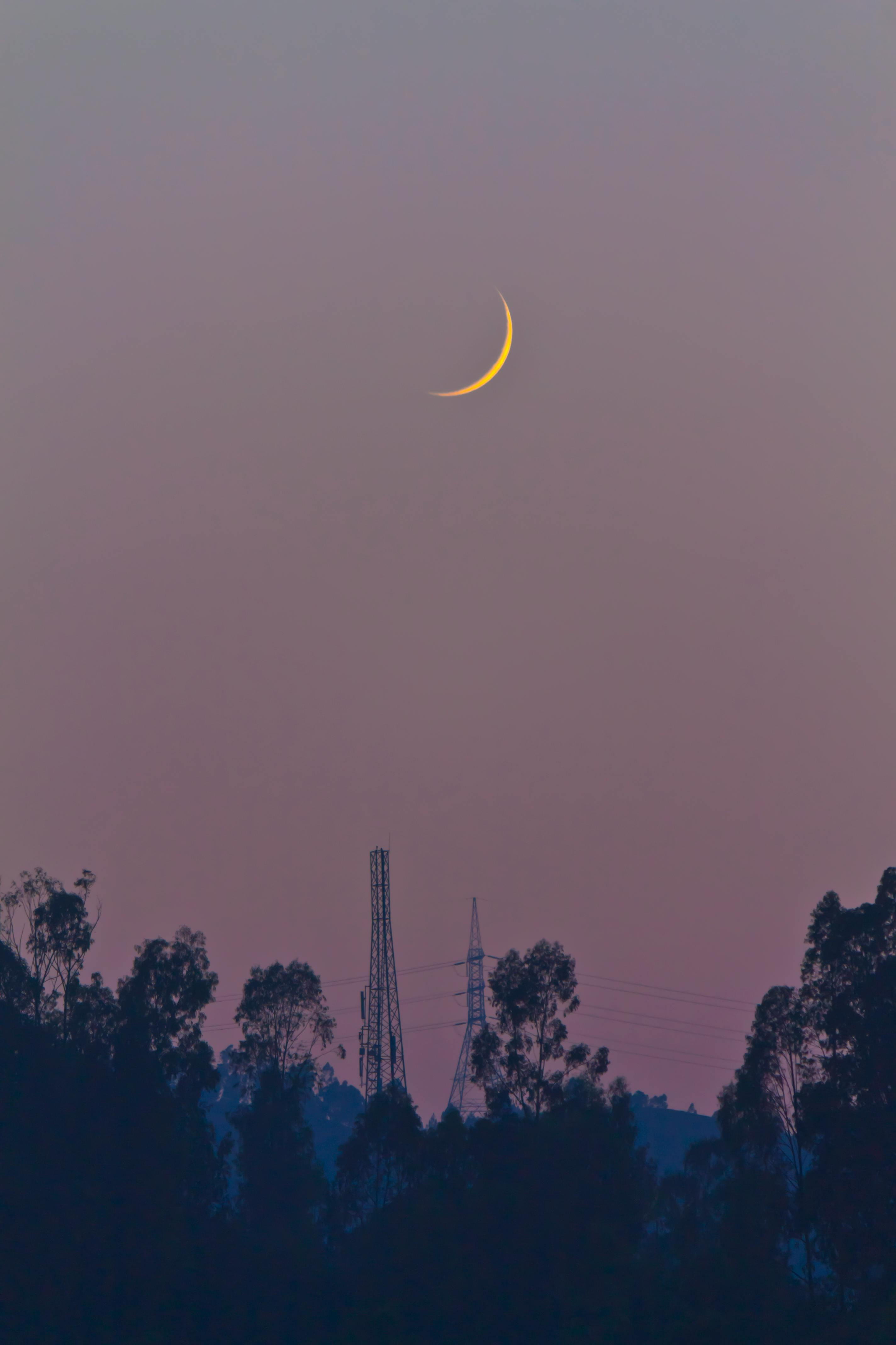 Crescent Moon Photos, Download The BEST Free Crescent Moon Stock Photos &  HD Images