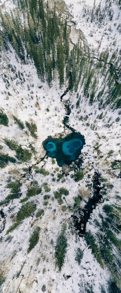 Immagine gratuita di campagna, coperto di neve, fotografia della natura