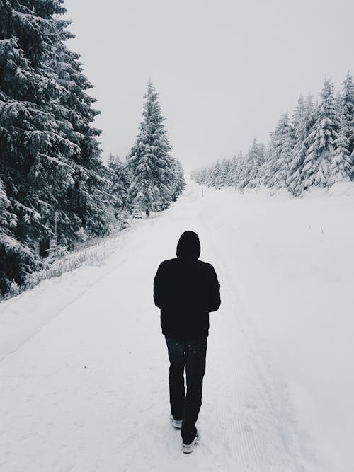 Persoon Draagt Zwarte Hoodie Tijdens Het Wandelen Op Met Sneeuw Bedekte Weg In De Buurt Van Pijnbomen