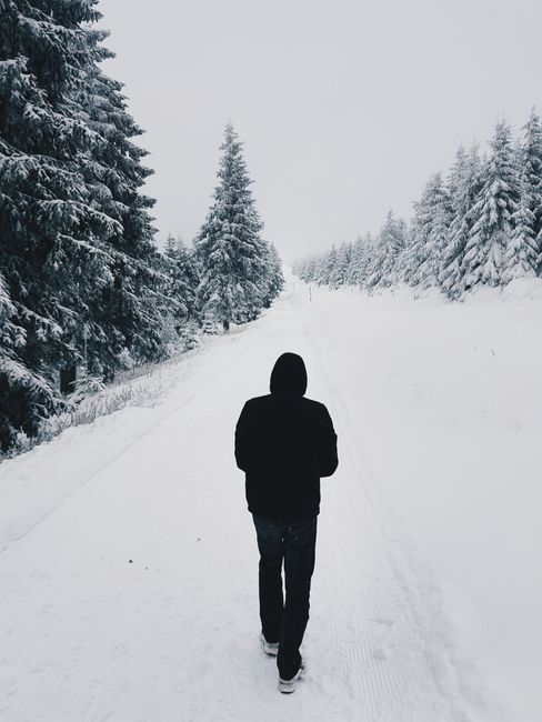 A solitary figure in black walks through a snowy forest landscape during winter.