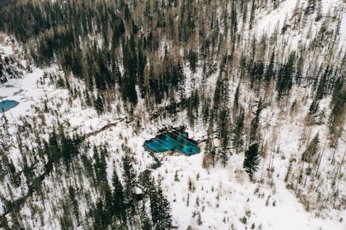 Immagine gratuita di alberi, campagna, coperto di neve