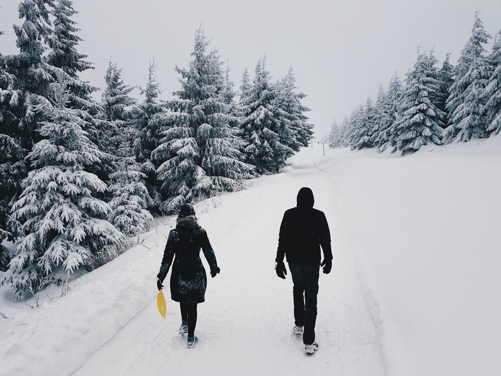 無料 雪に覆われた道路の真ん中で二人の写真 写真素材