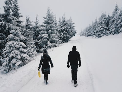 雪に覆われた道路の真ん中で二人の写真