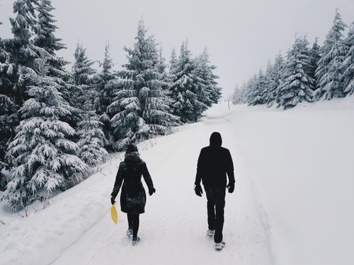 Free Two people walking in a snow-covered forest during winter, enjoying nature. Stock Photo
