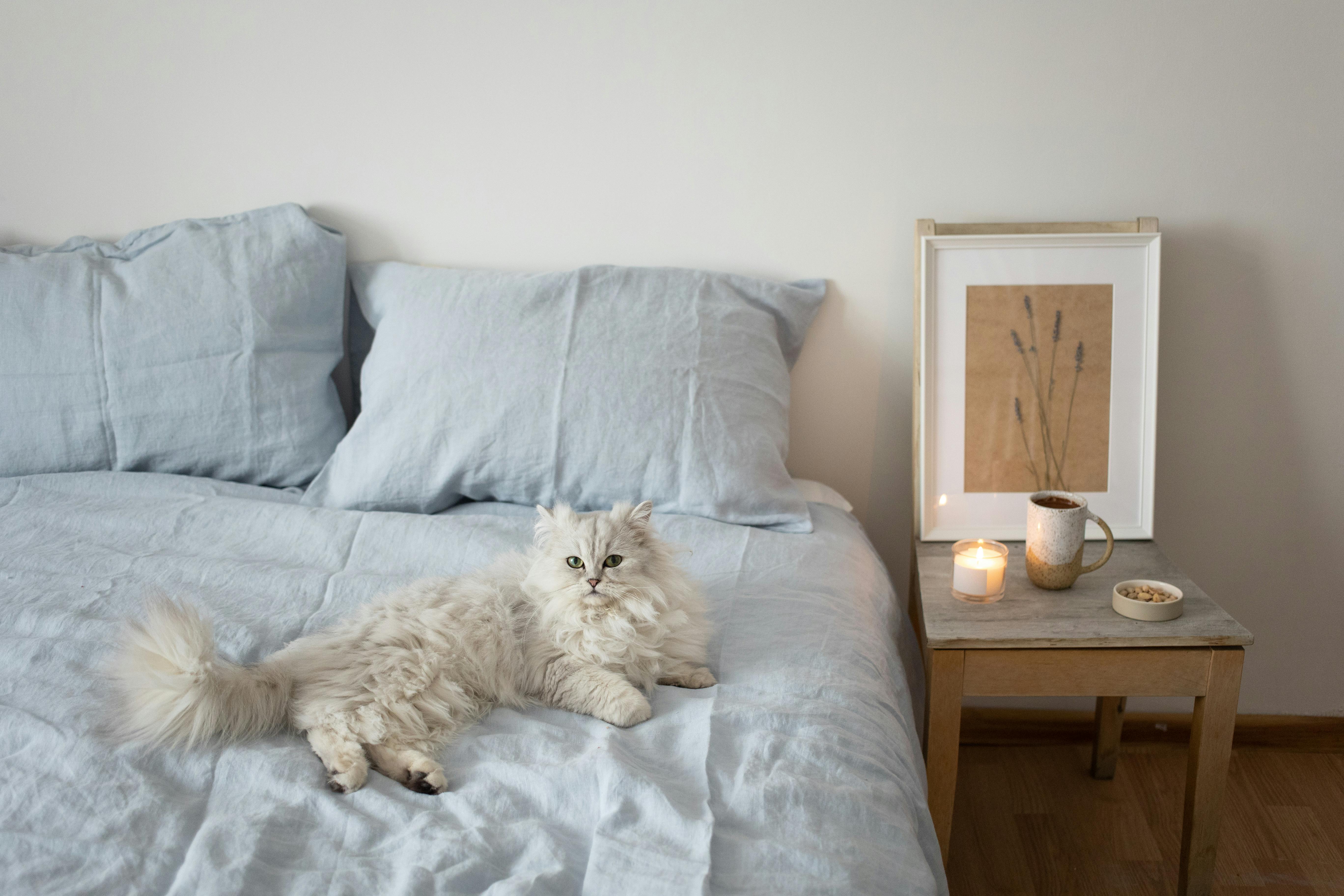 誠品生活台南館的貓咪藝術裝置，卻引發民眾環保關注