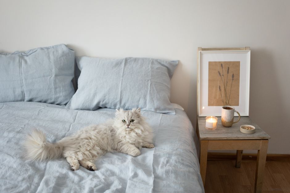 Comfortable bedroom featuring a fluffy white cat lounging on a bed next to a candlelit side table.