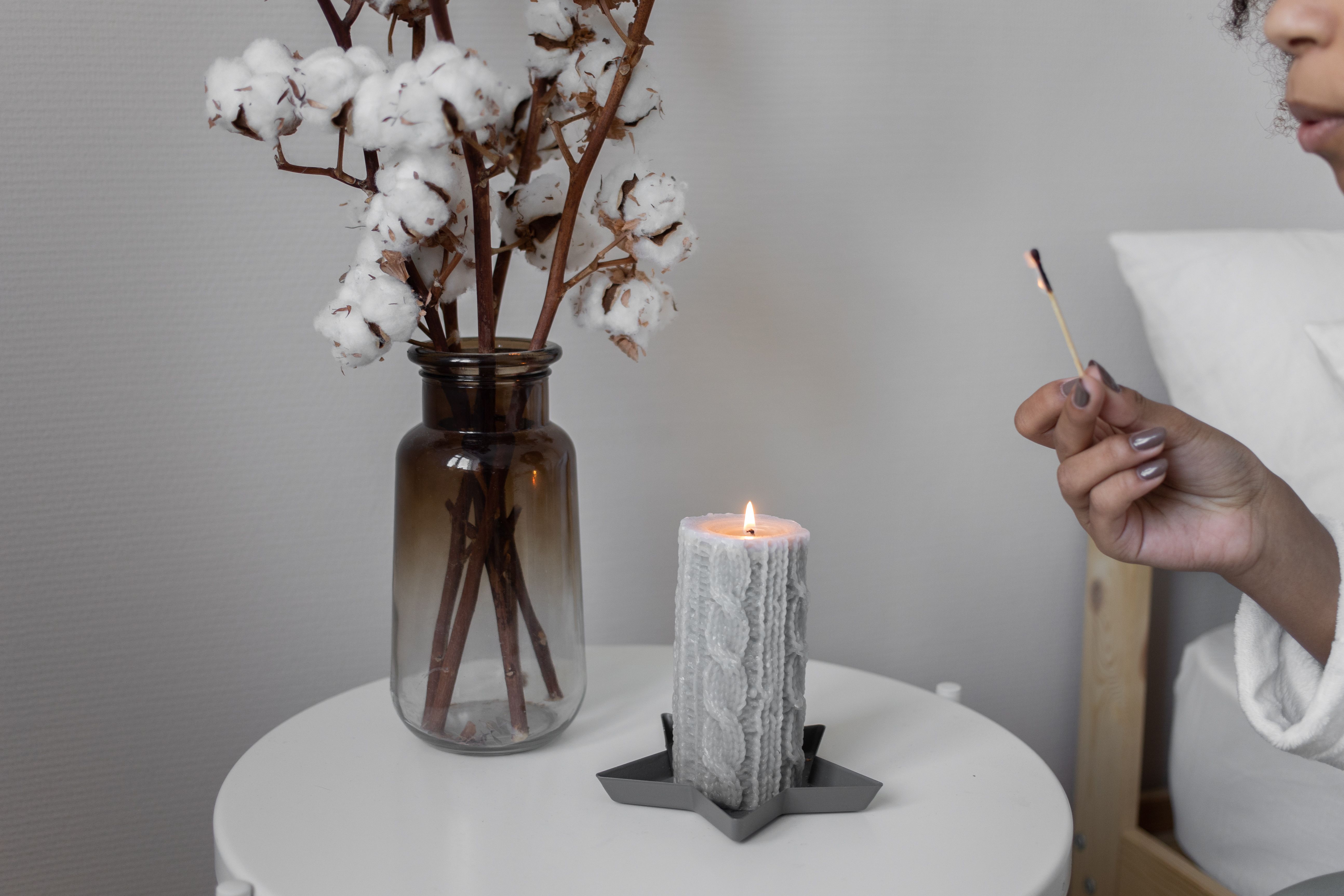 Zamioculcas Pflanze 30cm im Test