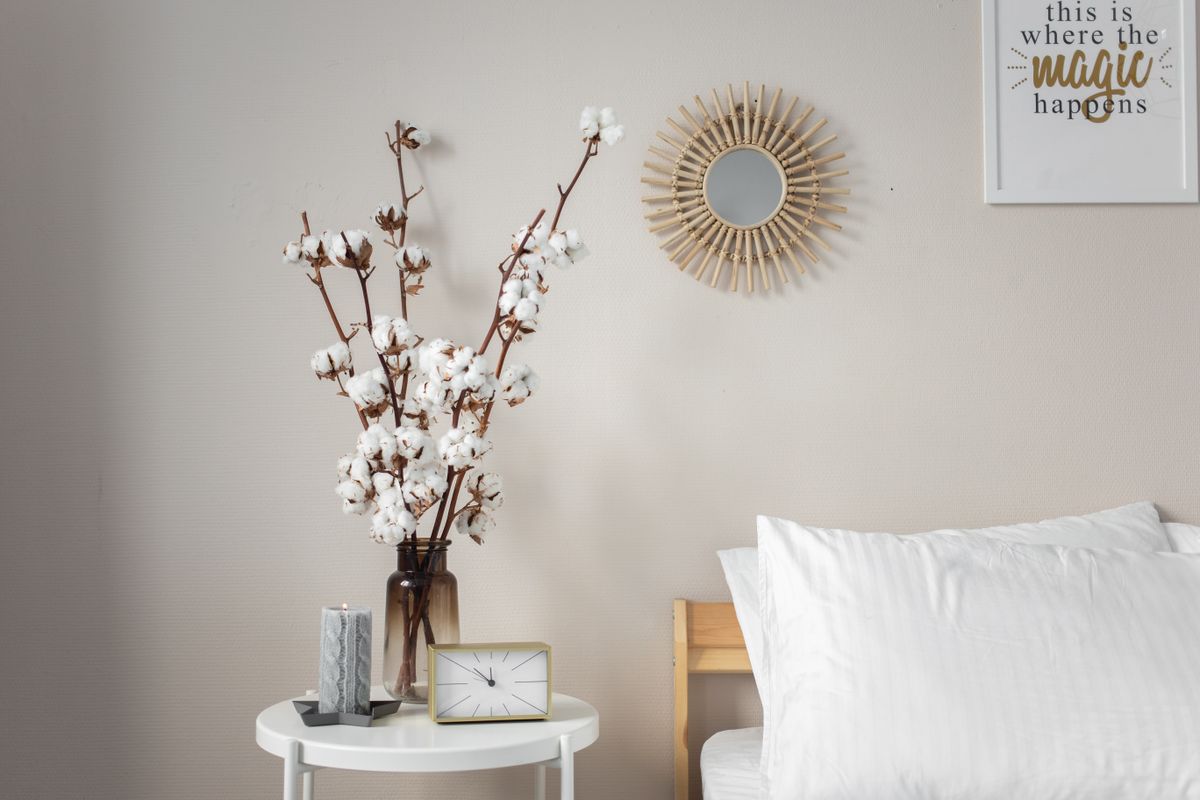 Bedroom mirror with wall decor and plants