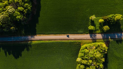 Car driving through green fields on sunny day