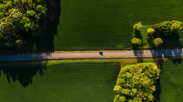 Car Driving Through Green Fields On Sunny Day