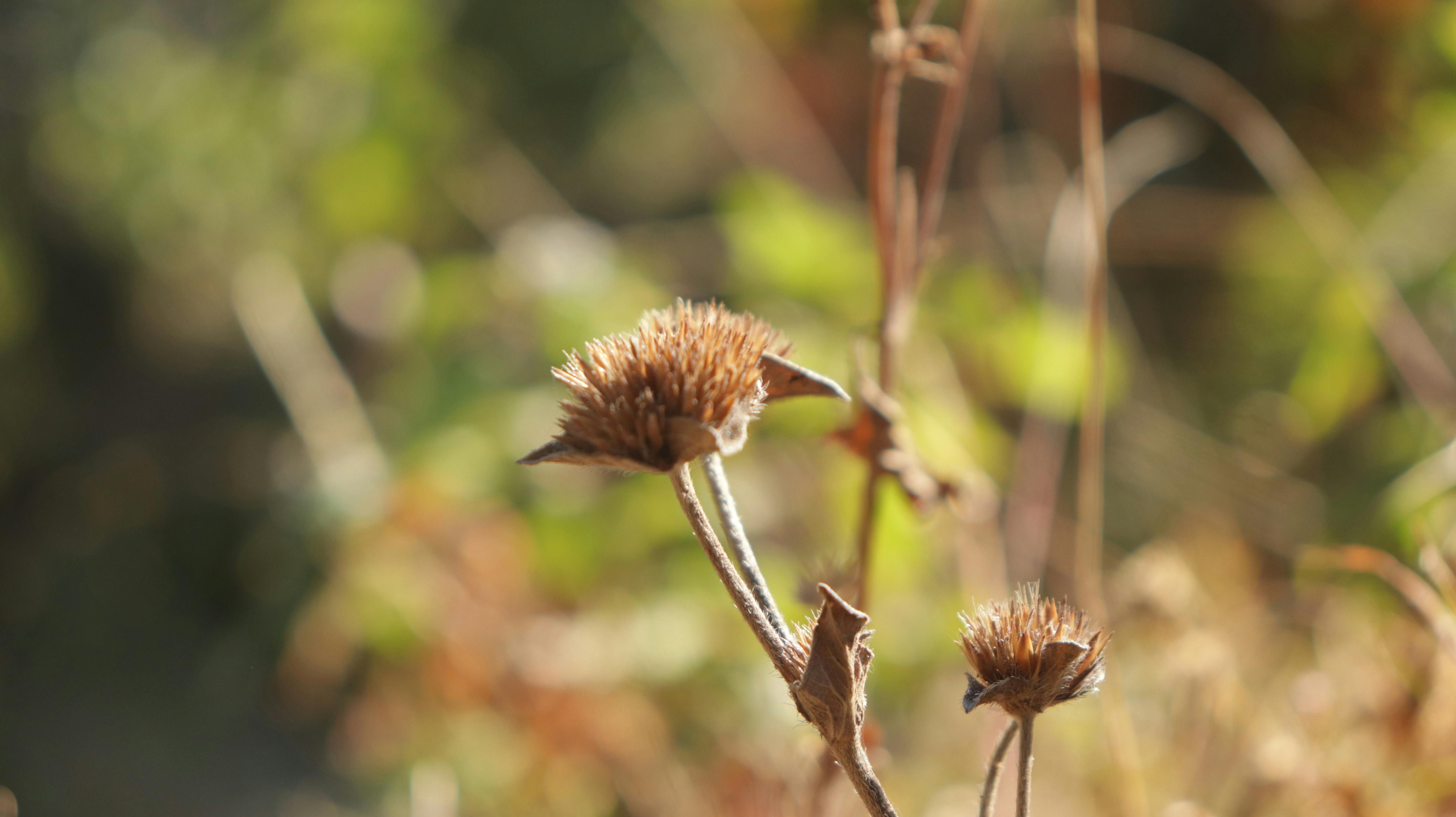 אישה מציבה גבולות עם יד