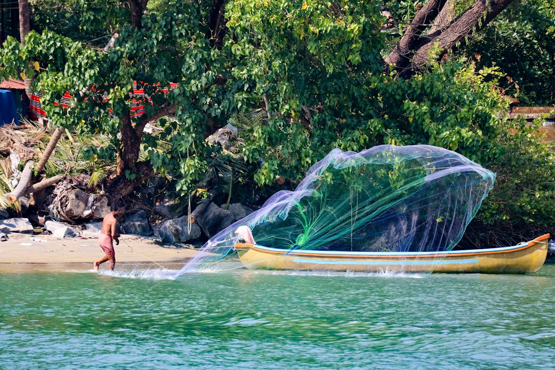 Free stock photo of fisherman, fishing, kerala