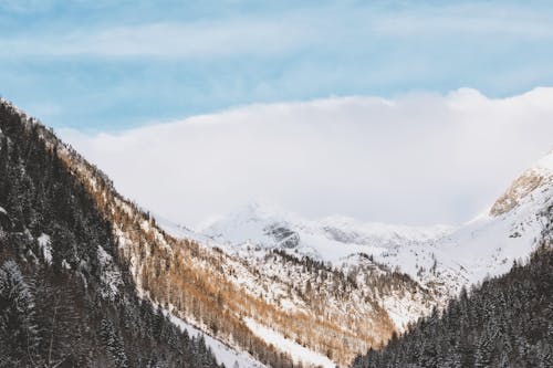 無料 雪山の航空写真 写真素材