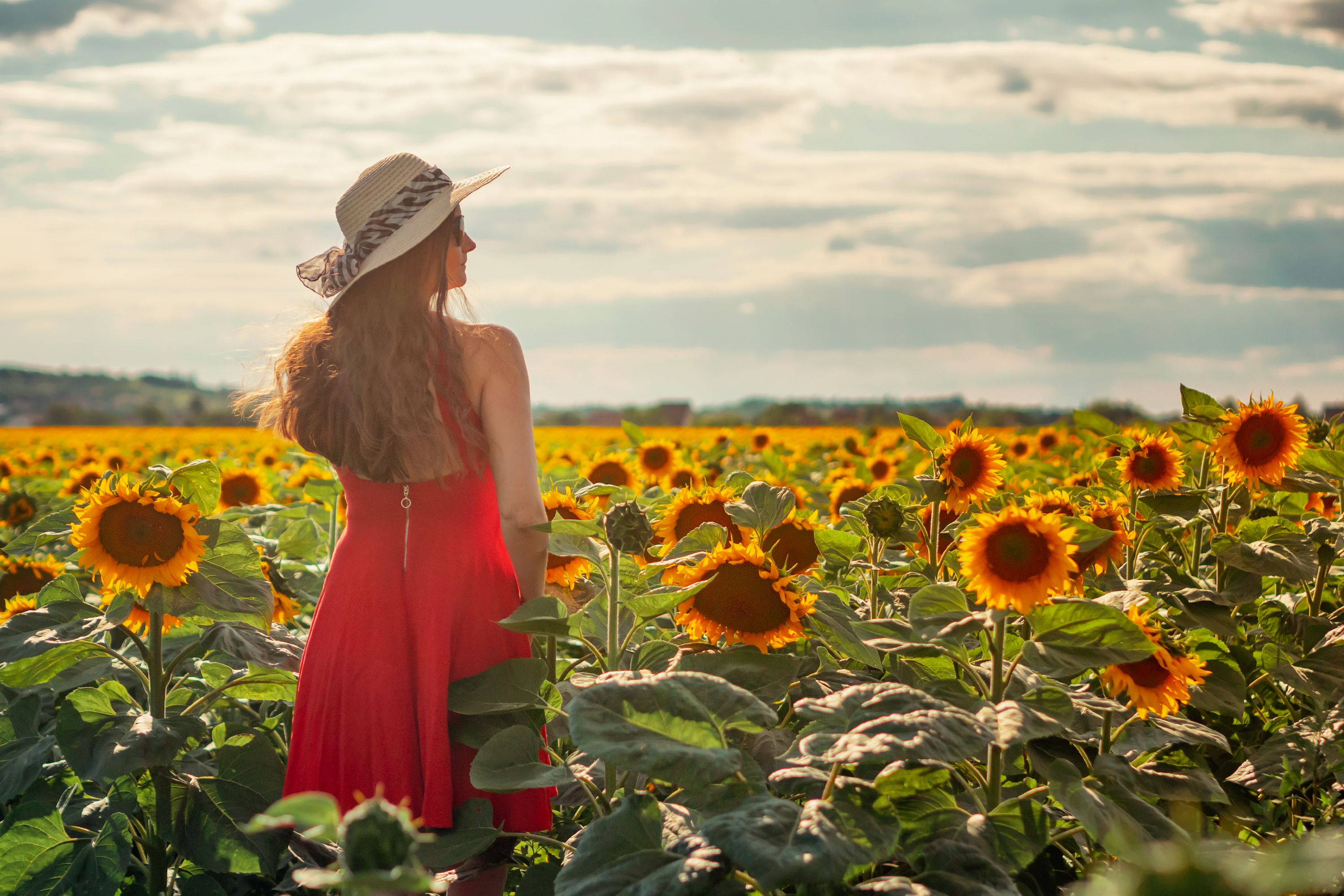A Woman in Red Dress Standing on a Sunflower Field · Free Stock Photo