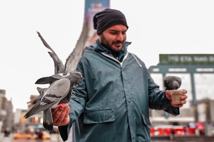 A Man Feeding Pigeons On The Street