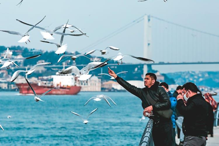 A Man Feeding The Flying Birds