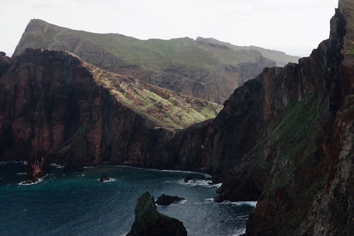 Sea near rocky cliffs with plants under sky