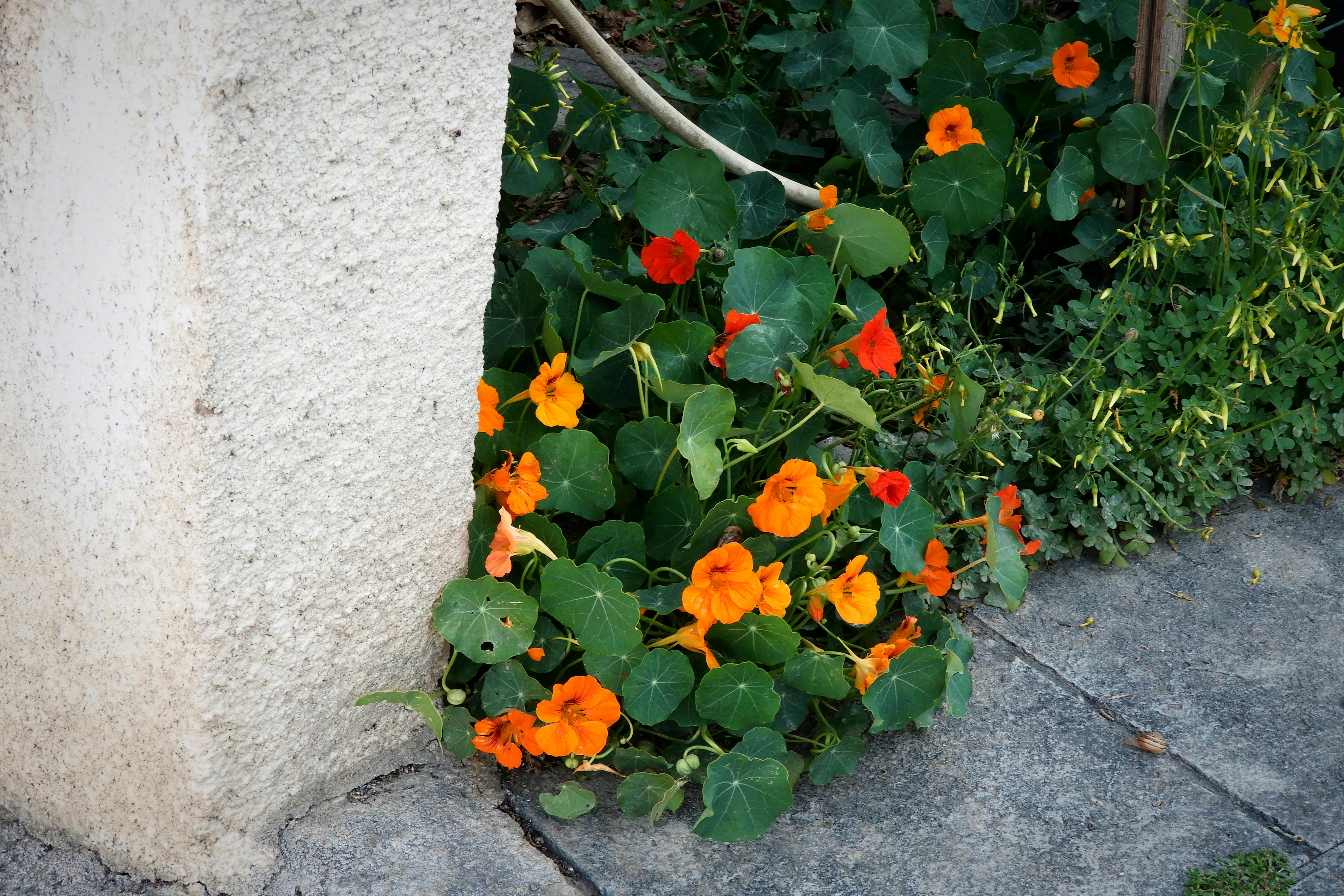 Person writing notes in a journal with constellations in the background
