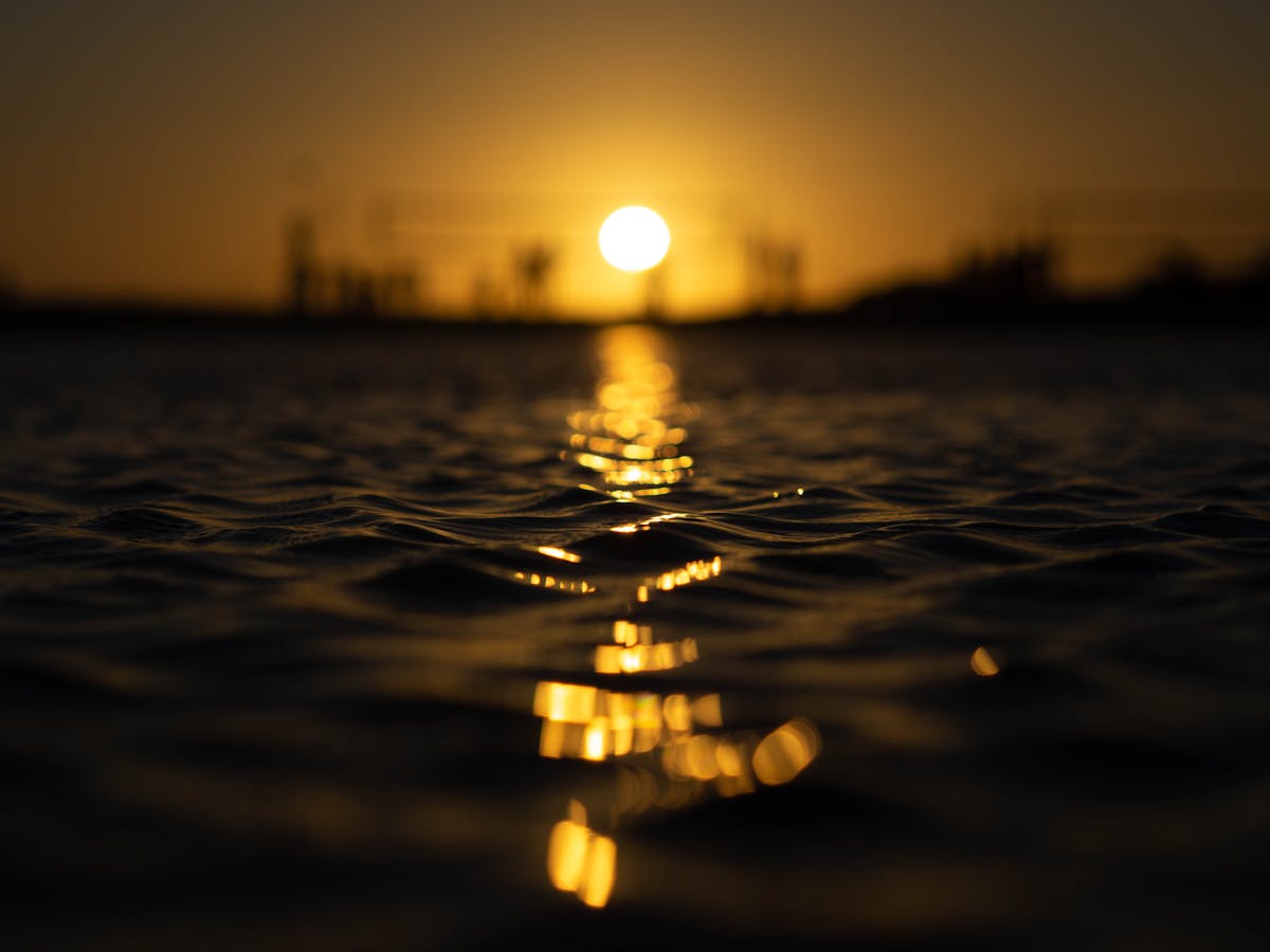 Person reading a horoscope and checking the zodiac wheel on a tablet