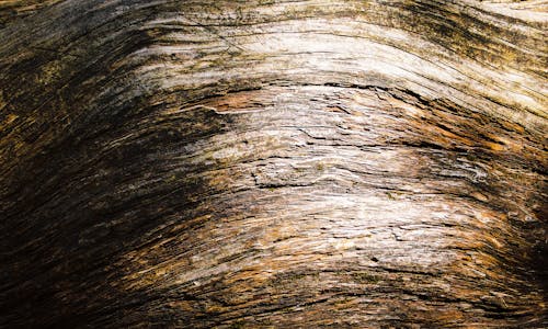 Free stock photo of texture, wood Stock Photo