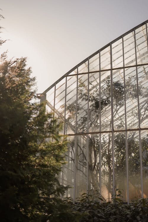 Foto profissional grátis de arquitetura, casa de palma, conservatório