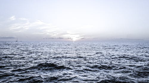 Naturfotografie Des Ozeans