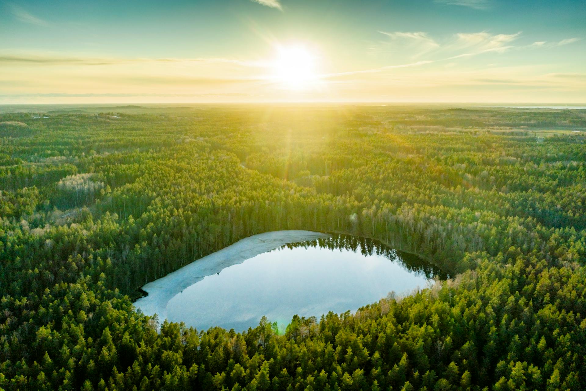 A breathtaking aerial view of a forest in Latvia with a shimmering lake reflecting the vibrant sunset.