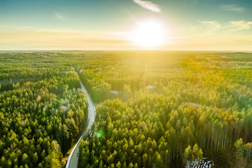 Free stock photo of beautiful sunset, bluesky, country road