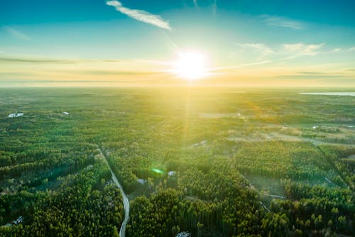 Free stock photo of dirt road, drone, forest adventure