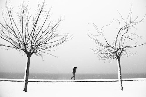 A Man Walking on the Street while Snowing