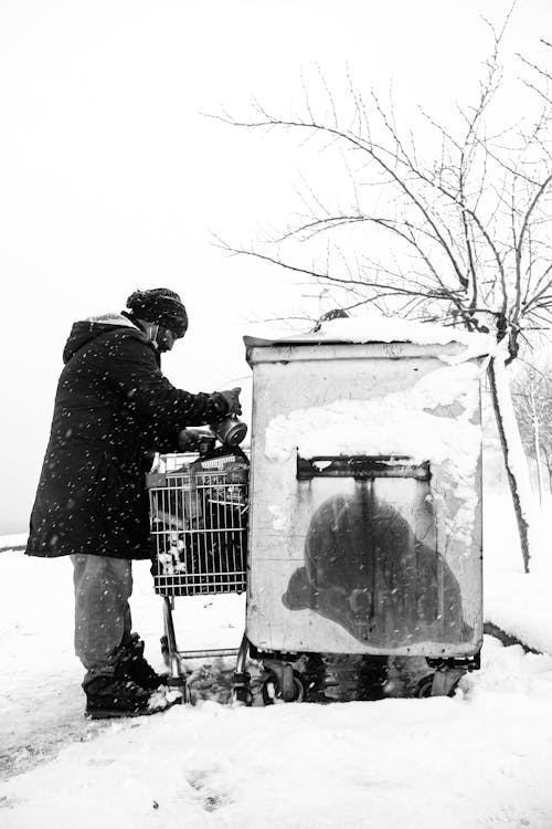 下雪, 人, 傾注 的 免費圖庫相片