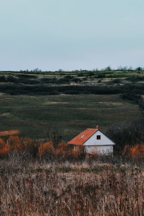 Fotobanka s bezplatnými fotkami na tému dedinský, dom, farma