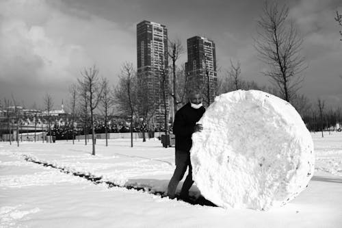 bw攝影, 下雪, 白色和黑色 的 免費圖庫相片