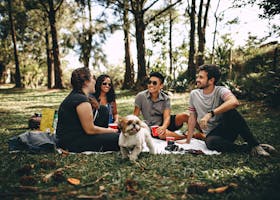 Picknick im Park als Erfahrung von Frugalisten, statt wahnsinniger Konsum