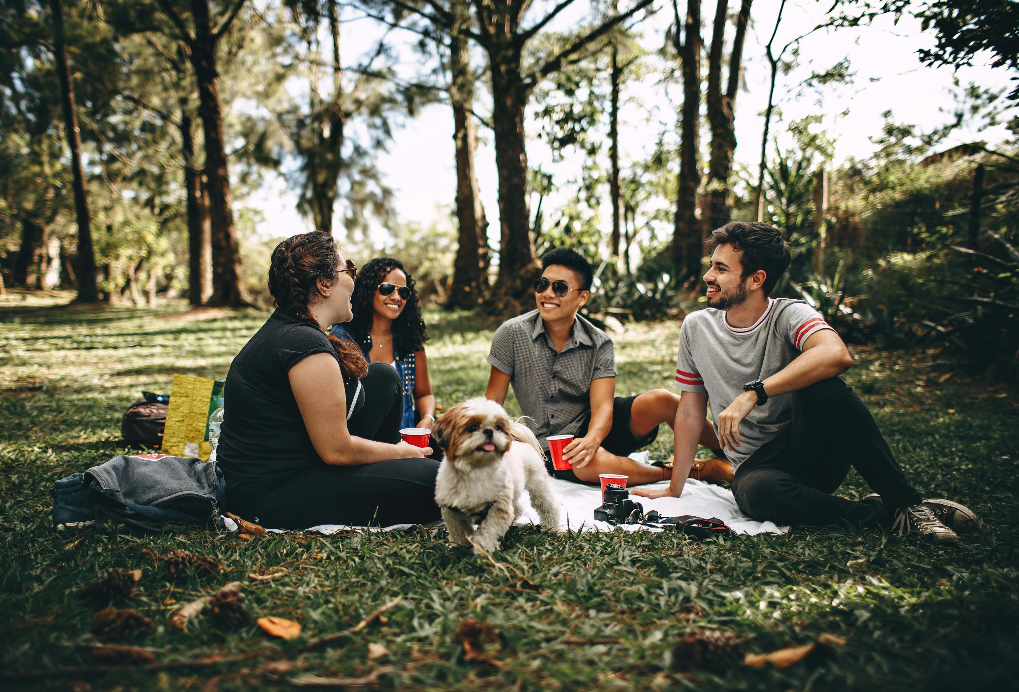 Group of people sitting>
</p>
<p>
	   Once summer turns to autumn, people return to reality. The vacations are over, and everybody returns to their jobs. But who says that you need to wait for the summer or winter break to go on a trip? Obviously, you can only book so much time off work on an annual basis, but you don’t even have to do that in order to go away. You could go on a weekend trip. It’d give you something to look forward to on a regular basis if you planned more weekend getaways with your buddies. So, with that idea in mind, these are some ideas regarding fun trips for you and your friends at weekends.
</p>
<p>
	   Heading out on the open road.
</p>
<p>
	 <a href=