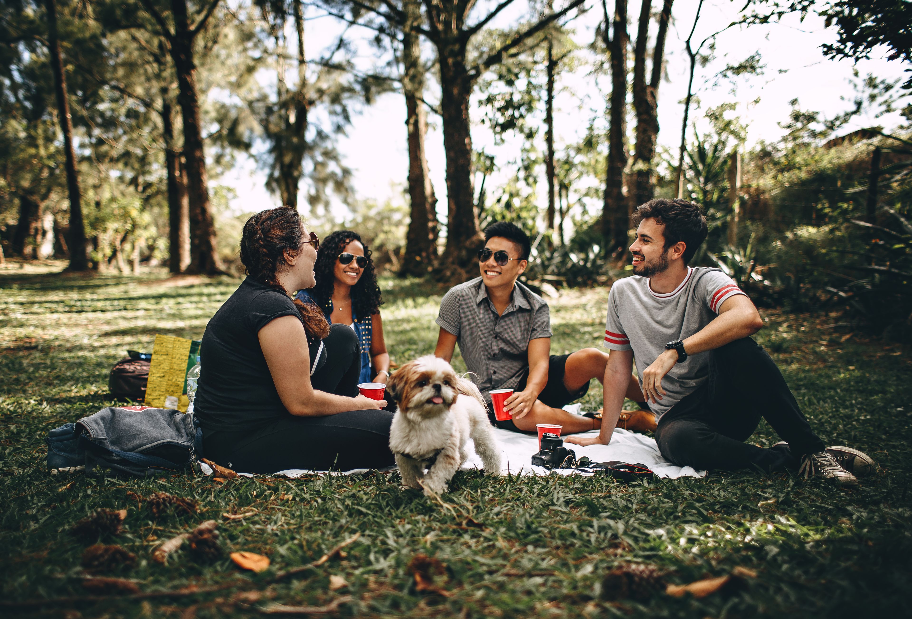 Friends gathered out in the park