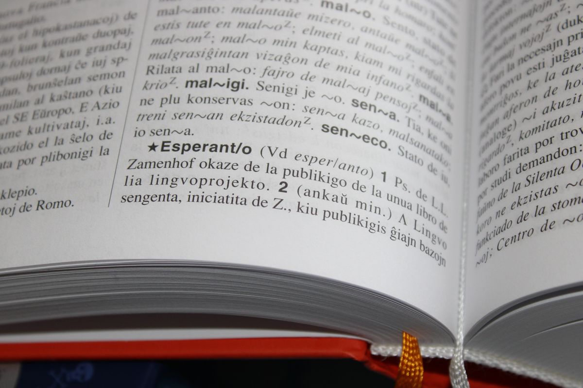 Close-up of a dictionary page showing printed definitions and entries