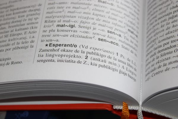 Internet translations business for sale - open dictionary with language text
